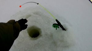 ЧУТЬ УДОЧКУ НЕ УТАЩИЛ.ЛОВЛЯ СУДАКА НА ТЮЛЬКУ.