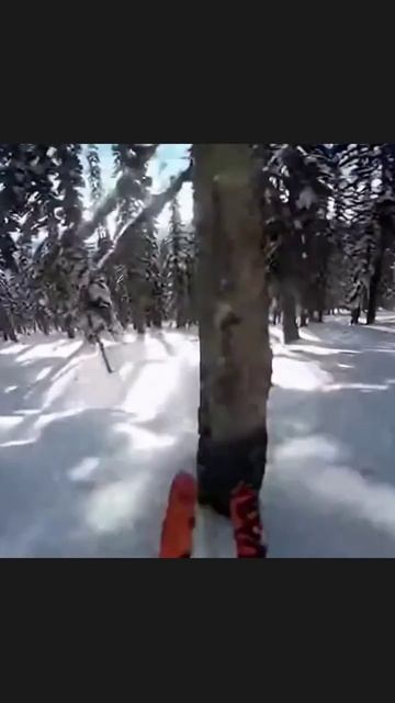 #лыжныйспорт #лыжи #зимниеэкспедиций #снежныеприключения #активныйотдых #спортнаприроде