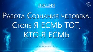 Структура работы Сознания человека