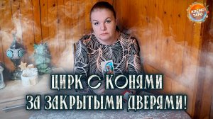 ЦИРК С КОНЯМИ ЗА ЗАКРЫТЫМИ ДВЕРЯМИ! | Гадание таро расклад