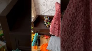 Миша рассказывает про своих животных