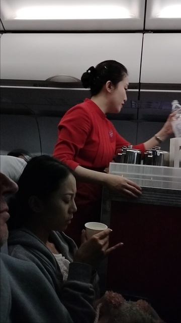 Китайские стюардессы! смотреть онлайн