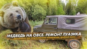 Медведь на овсе. Про искусственное осеменение. Ремонт ЛУАЗика. Грибы
