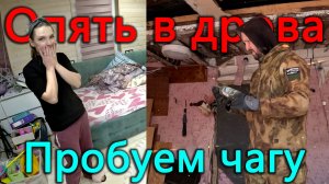 Начали разбирать дом на берегу, а в доме где живем делаем перестановку. Обезьяны в нашем районе.