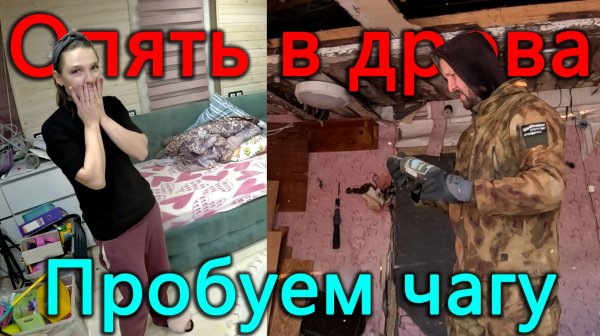 Начали разбирать дом на берегу, а в доме где живем делаем перестановку. Обезьяны в нашем районе.
