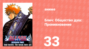 Блич: Общество душ: Проникновение 33 серия (аниме-сериал, 2004)