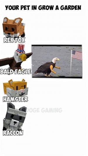 питомцы из вырасти сад в реальной жизни