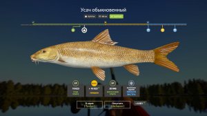 Русская Рыбалка 4-Новогодние Экстра Задания 2026: Усач обыкновенный не менее 5 кг оз. Янтарное