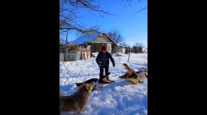 ВЫВЕЛА ПОГУЛЯТЬ