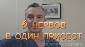 6 НЕРВОВ В ОДИН ПРИСЕСТ