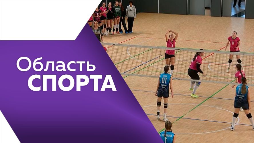 Область спорта №347 смотреть онлайн