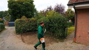 Больно, но я УНИЧТОЖИЛ клумбу, чтобы у хозяина появилась ПАРКОВКА