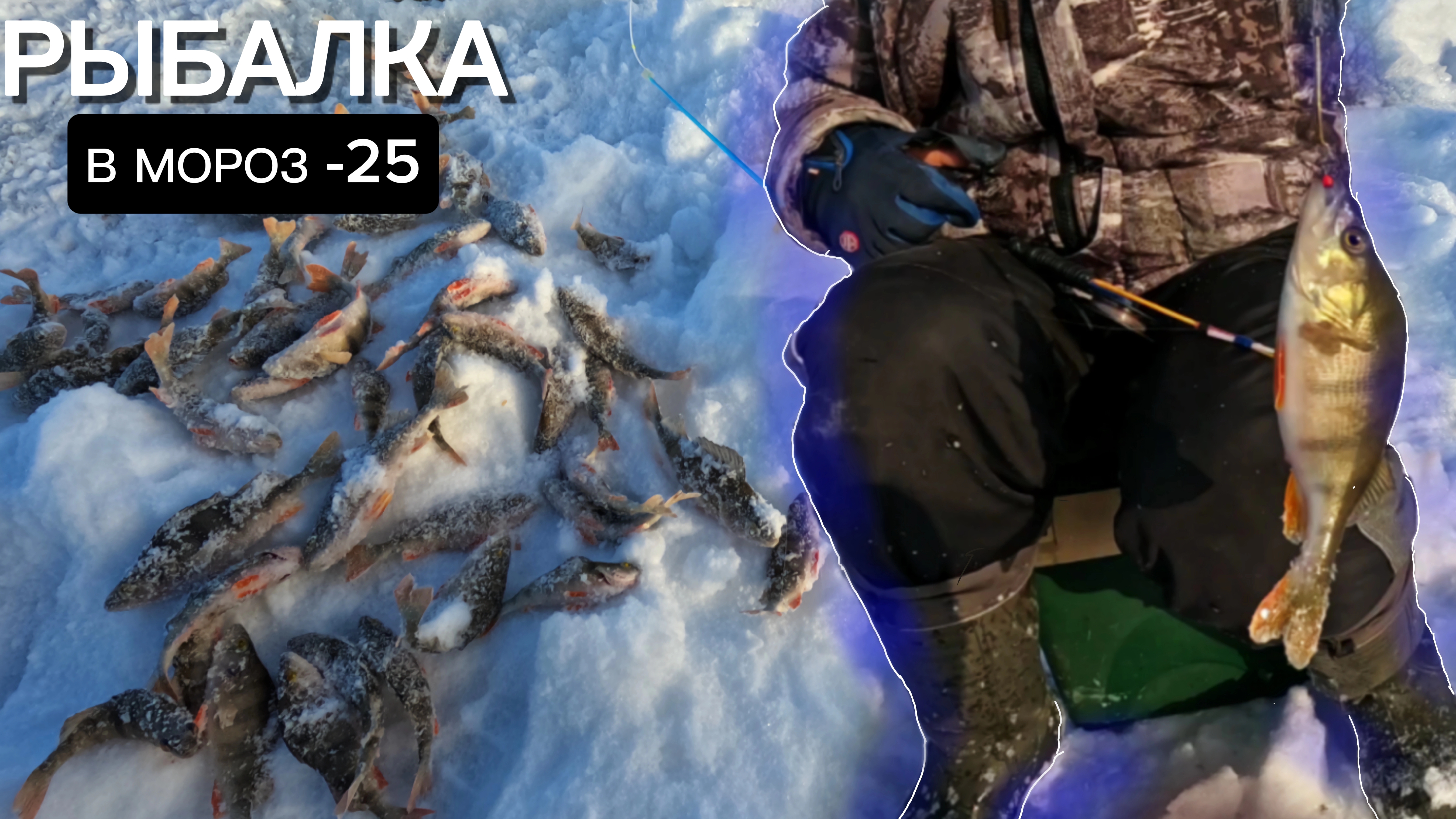 ГЛУХОЗИМЬЕ?Нет,не СЛЫШАЛИ!КЛЁВ ОКУНЯ как из ПУЛЕМЁТА!!РЫБАЛКА В МОРОЗ -25!! смотреть онлайн