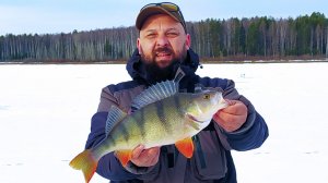 Не думал, что ТАКОЕ клюнет !!! ГИГАНТСКИЙ ОКУНЬ на чёртика. Обновил свой рекорд !!!
