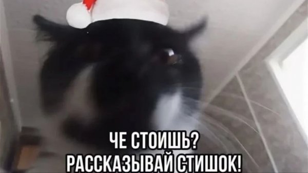 sofi-tukker-matadora