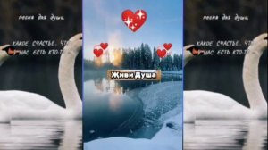 🎙Песня - "Живи Душа"💖🕊