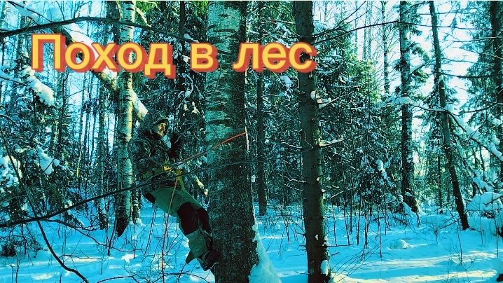 47. Зимний лес. Поход. Испытание обновки для сбора чаги. Костëр. Красивая природа.