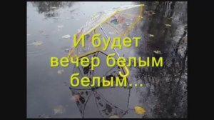 «БЕЛЫЙ ВЕЧЕР» Шувалова Светлана