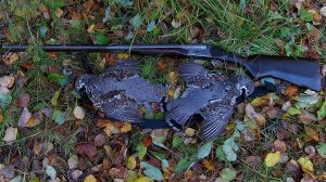 Знакомство с Карелией. Марс атакует. Часть 21