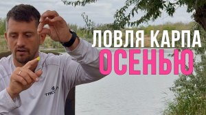 Как поймать много карпа осенью? Карпфишинг 2025
