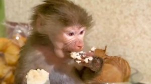 Люся лопает ЛЮБИМУЮ КАШУ, а Ангелина с Владом любуются на любимую бибизяну)))