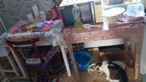 Жизнь женщины в глубинке России.Мои коты в тепле,Морозы не отступают