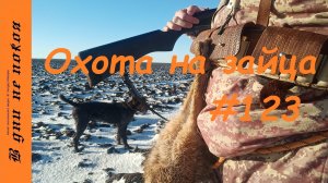 Охота на зайца. Выпуск № 123 18+
