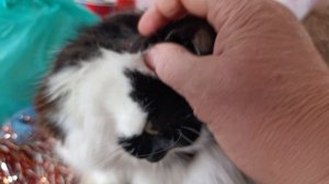 Доброе утро Игрульки