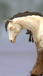 Эдит лошадь! Вилд