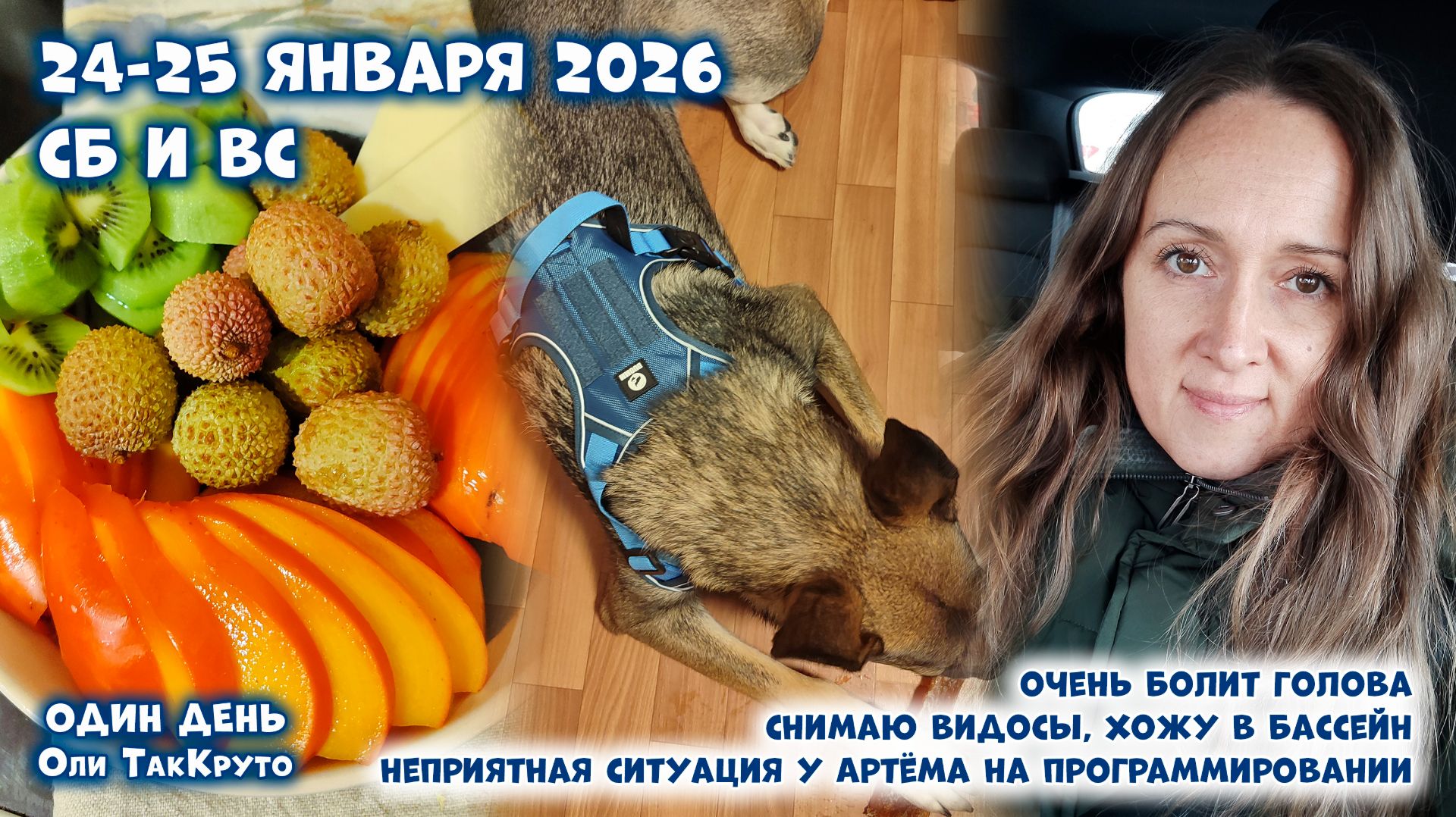 Много еды, работа, бассейн. Разборки с кружком программирования. 24-25 января 2026, день с ТакКруто смотреть онлайн