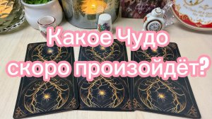 Какое ЧУДО скоро произойдёт? Гадание на таро Друидов