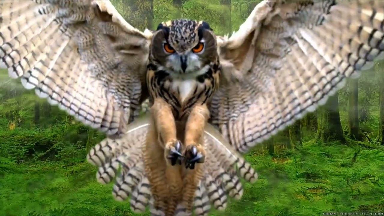 Chill Music Playlist Start your day positively with me | Morning Playlist смотреть онлайн