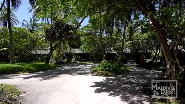 Утро Мальдивы смотреть онлайн