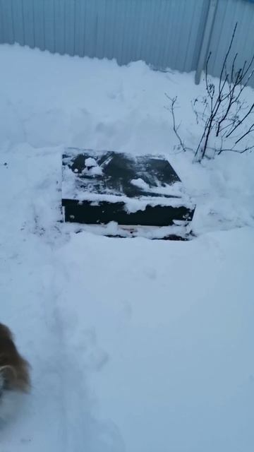 Как ведёт себя ТОПАС зимой? Исправно работает! смотреть онлайн