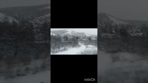 Поездка(архив Ксюше 4 месяца 2023г)Поезд в Москву 4 суток / котята ехали в новый дом из приюта