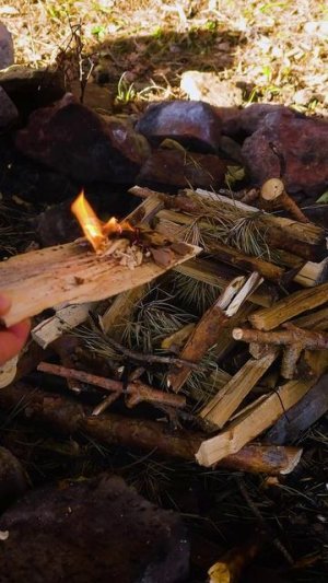 Отличная идея для выживания