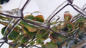 Обледенение — это процесс образования льда