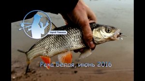 Река Белая июнь 2016