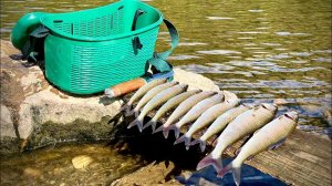 Рыбалка на реке Вишера. Пермский край.