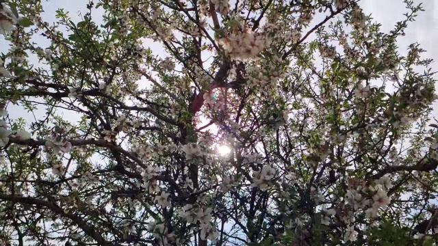 Один из дней города Евпатории | 19 апреля 2021 г | Крым | ХАН БАТОН XAH 6ATOH | VID_20210419_142905 смотреть онлайн