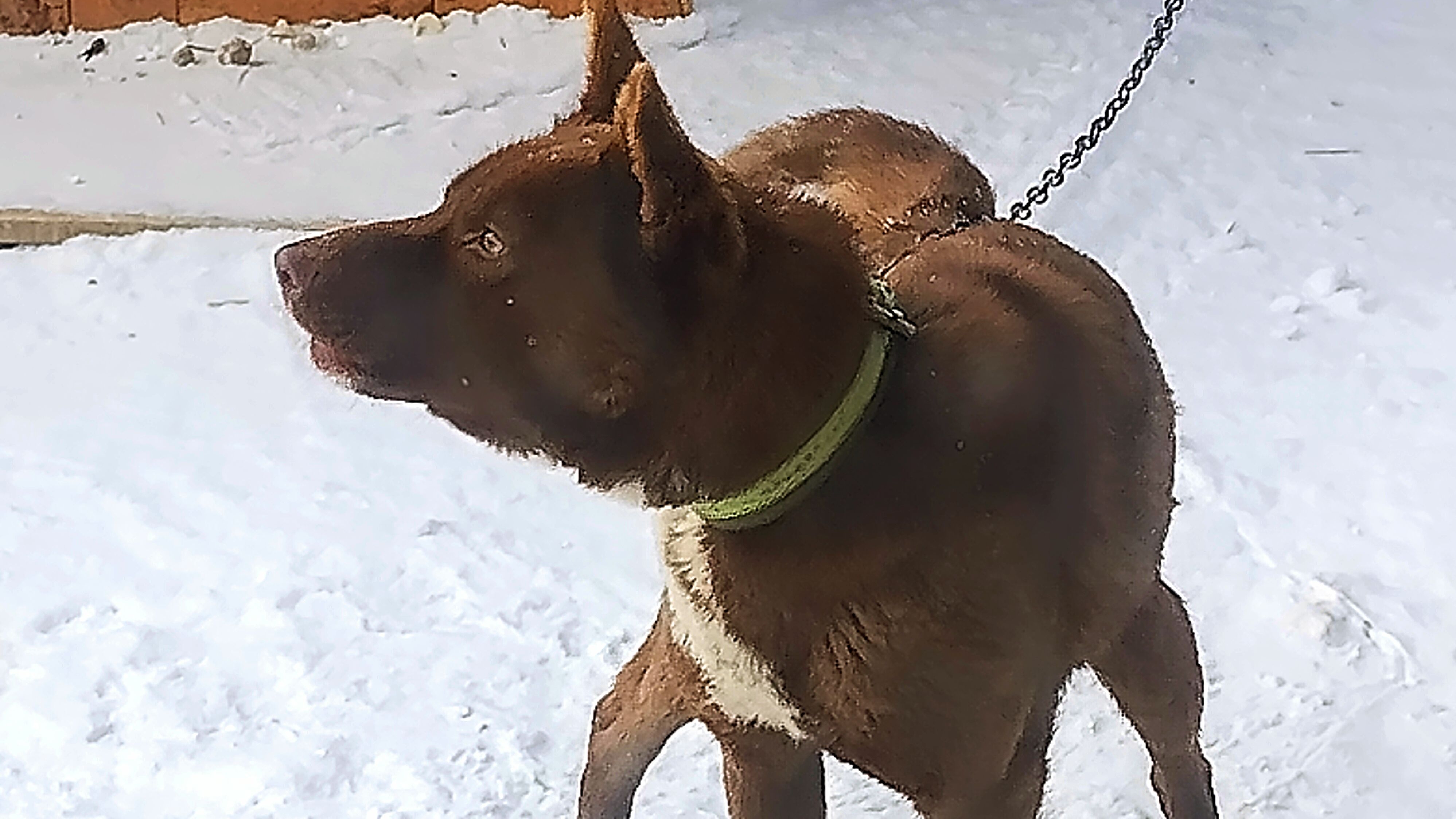 О Мишке, коте и кошачьей еде! 28-01-2026 смотреть онлайн