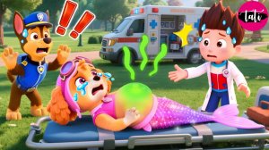 Щенячий патруль и Маршалл. Залипательное видео. Мультфильм для детей и малышей. Анимация 141