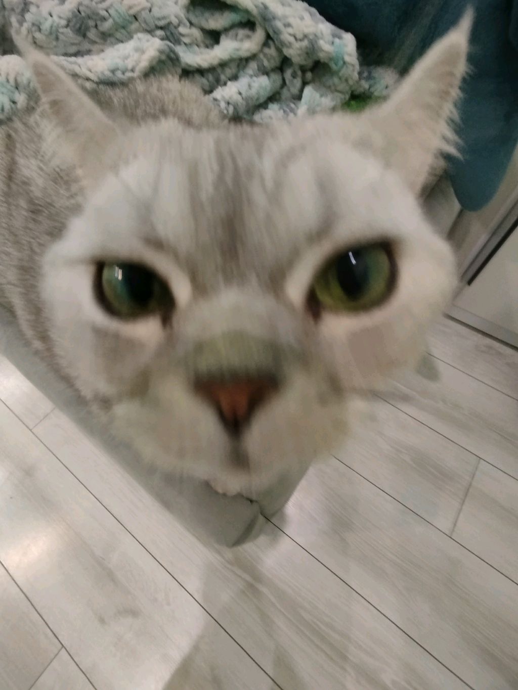 вотттт смотреть онлайн