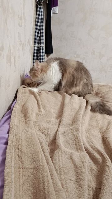 1000003611.mp4 смотреть онлайн