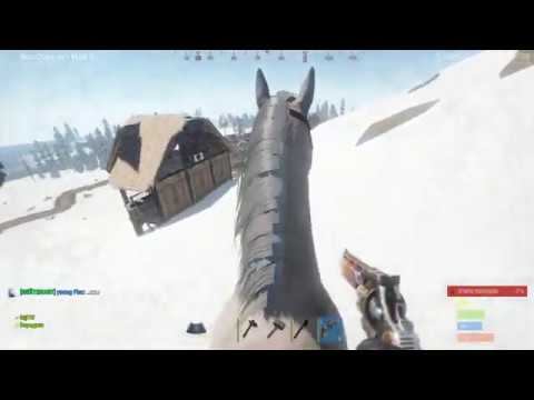 Rust выживание в раст