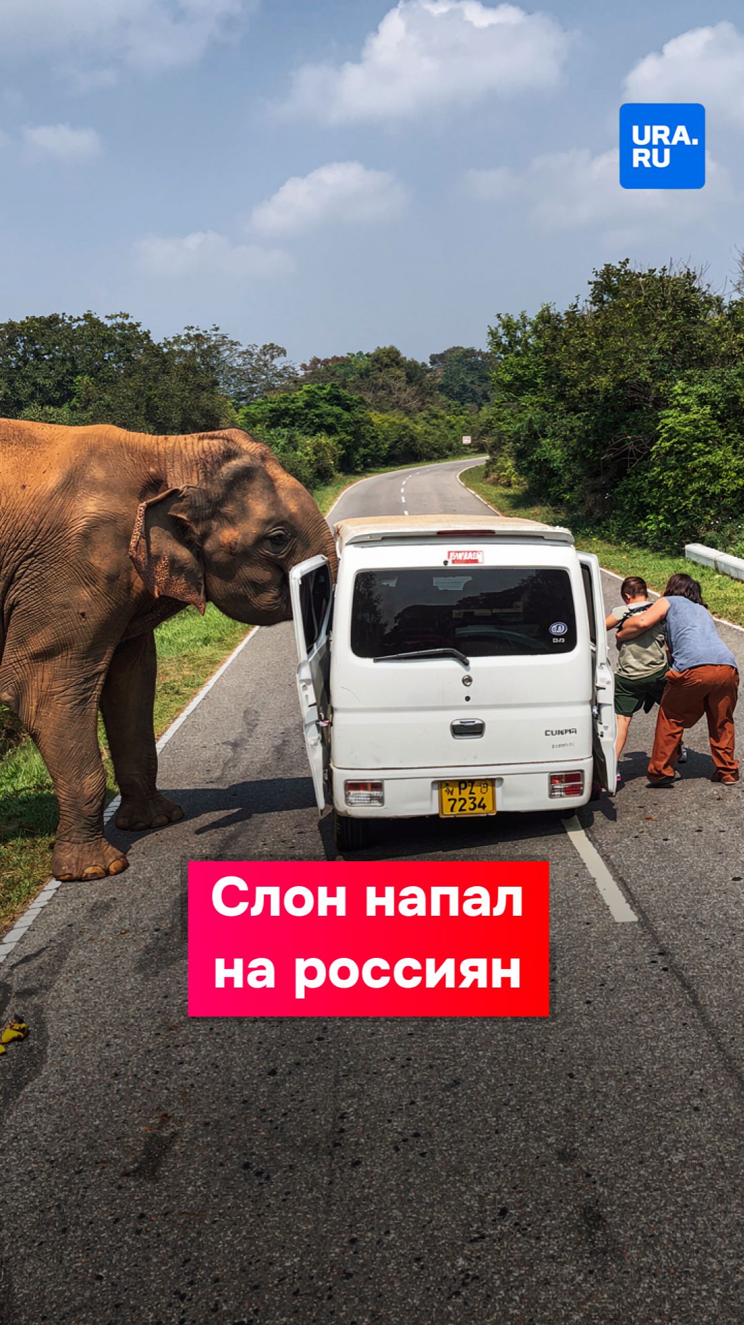 Слон напал на россиян на Шри-Ланке смотреть онлайн