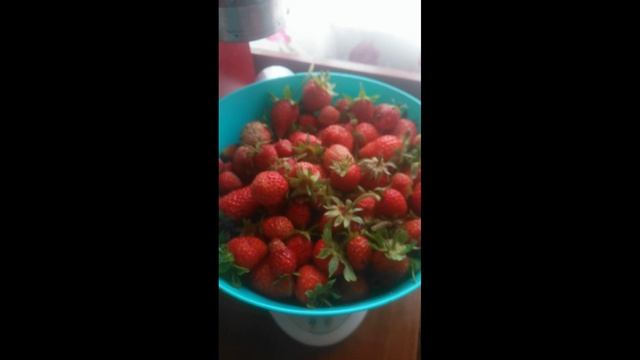 Клубничка смотреть онлайн