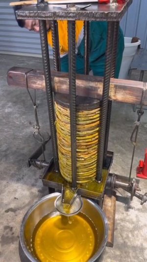 Я думал, что подсолнечное масло производят по-другому.