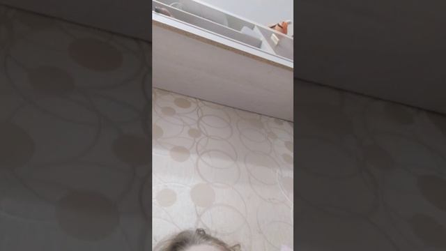 марьяна беца