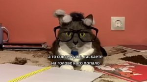 Kotiynet 4 серия 1 сезон (2 часть) Видео из компьютера.